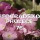 Београдско пролеће '76