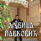 Постер Љубише Павковића