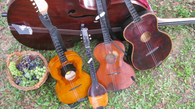 Тамбурица златна жица