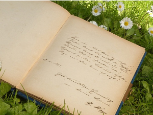 Маша Сеничић: „Викенд насеље”