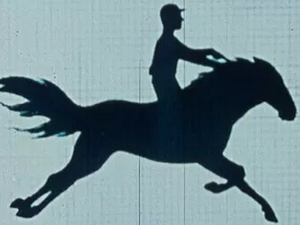 Причe о фотографији: Демократична уметност