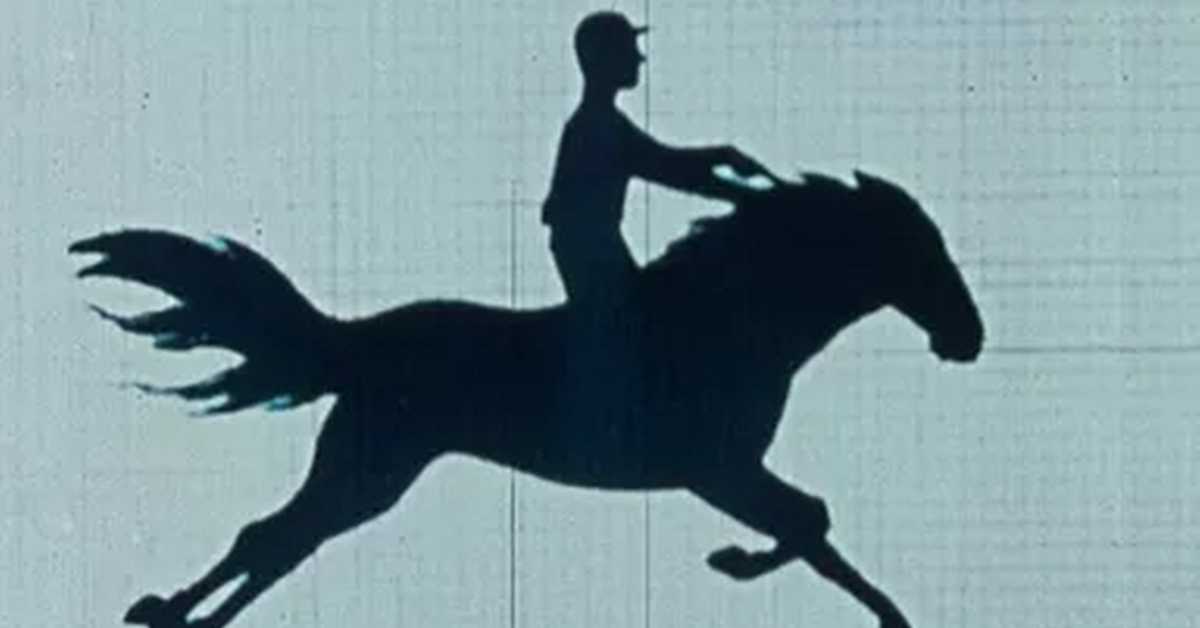 Причe о фотографији: Демократична уметност