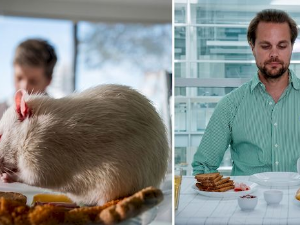 Како исхрана обликује мозак