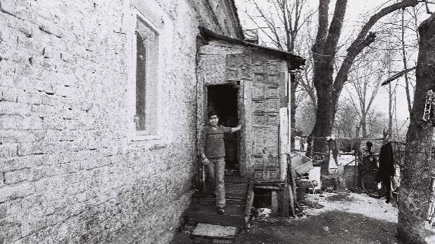 Ромске породице између загађења и исељења