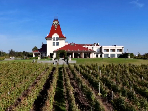 Где за првомајске празнике – Златибор чека 60.000 гостију, у бањама већ гужве