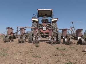 Сетва при крају