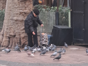 Јутарњи викенд програм