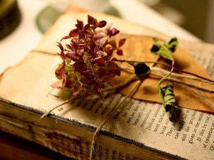 Слушајте „Пут у речи" и размишљајте о језику