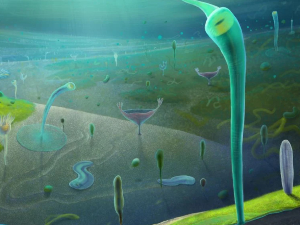 Фосили из Кине мењају историју – сложене животиње постојале милионима година пре него што смо мислили