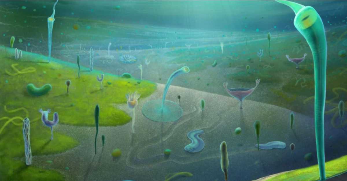 Фосили из Кине мењају историју – сложене животиње постојале милионима година пре него што смо мислили