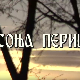 Лети, лети песмо моја мила: Постер Соње Перишић