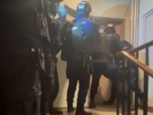 Откривене лабораторије за производњу марихуане у два стана на Звездари, ухапшена једна особа