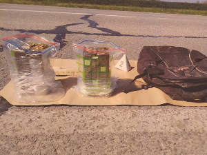 Међународни карактер диверзије – шта је показао покушај угрожавања гасне инфраструктуре код Кањиже