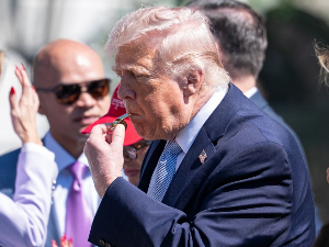 Блиски исток побегао са ивице провалије – Америка, Израел и Иран прогласили прекид ватре, моментални пад цена нафте