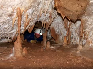 Очима природе: Бљесак лепоте