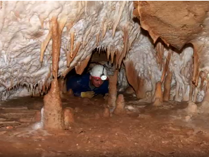 Очима природе: Игра светла и таме