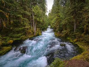 Данкина бројаница – Лирска разгледница - Реке