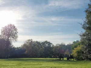 Мајка природа против анксиозности