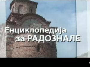 Енциклопедија за радознале: Музеј камена и друге приче
