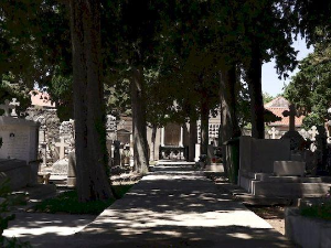 Култура Срба у Хрватској: Дубровник, културно-историјско наслеђе