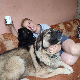 Дада, кокице и куце