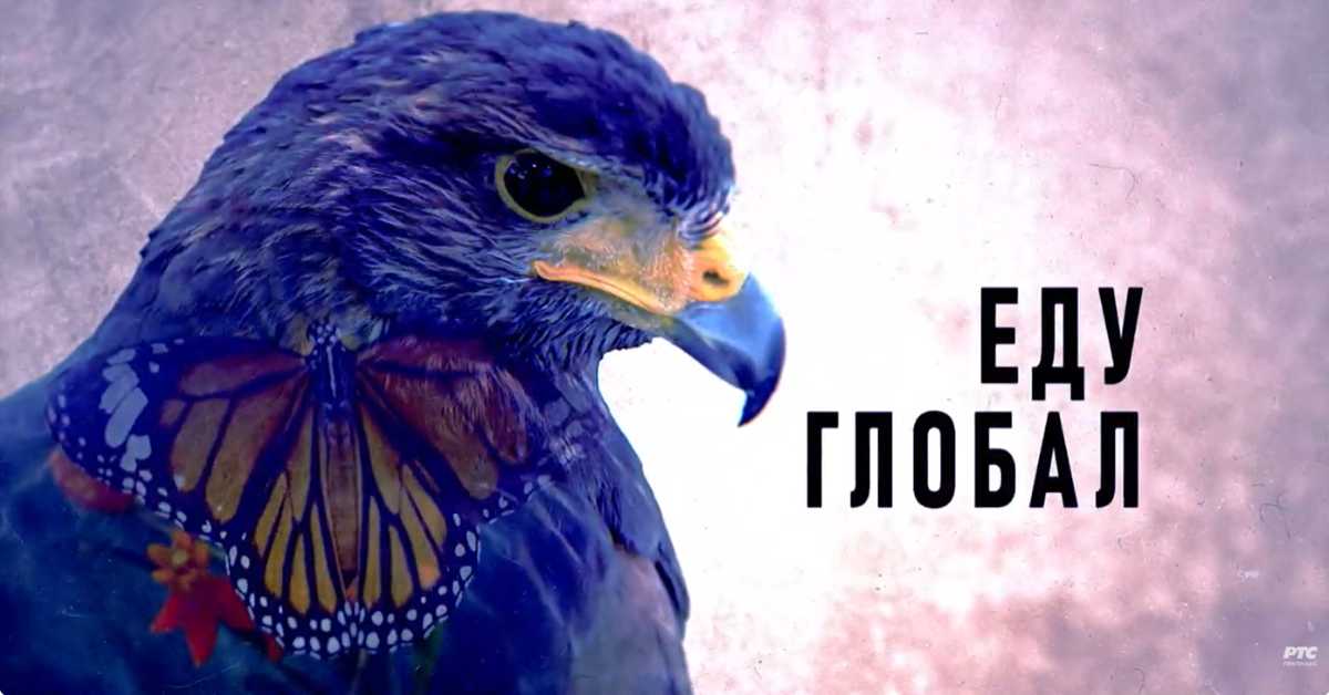 Еду глобал, 297. еп.