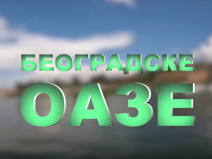 Београдске оазе- Раде Марјановић