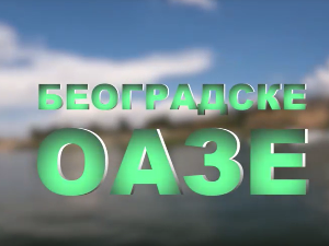 Београдске оазе- Раде Марјановић