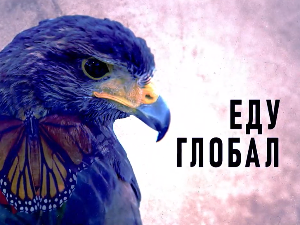 Еду глобал, 299. еп.
