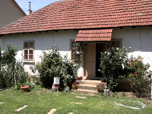 Брачни пар Стојковић живот у Беораду заменио животом на домаћинству предака на Јастрепцу