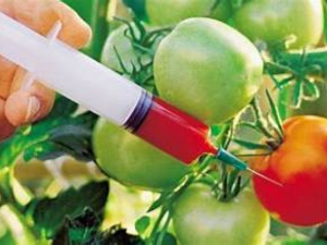30 година од првог ГМО производа у продавницама