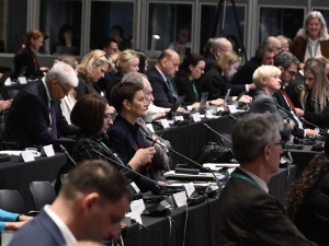 Брнабић: Конференција у Данској корисна за Србију, уведена нова врста сарадње кандидата