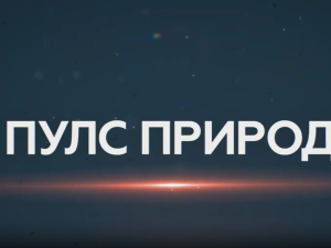 Пулс природе- Врхпоље