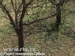 Од суперћелијских олуја до летње дугодневице