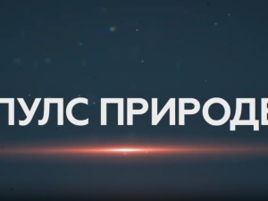 Пулс природе- Соколске планине