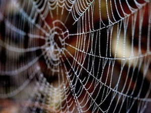 Дешијел Хемет: Несташлук код Гејтвуда