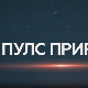 Пулс природе: Параглајдинг Гучево