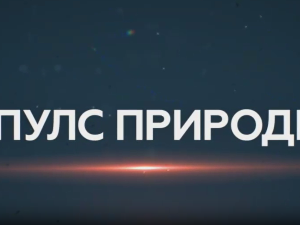 Пулс природе: Параглајдинг Гучево