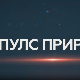 Пулс природе: Дрина сплаварење