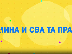 Мина прелази нивое: Мина и сва та правила