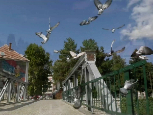Гондолом по Тимоку – да ли је Књажевац Мала Венеција или Мали Париз