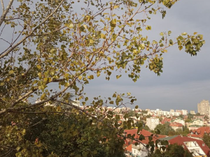 Променљиво облачно, свежије и нестабилно – температурa до 29 степени