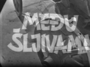 Међу шљивама