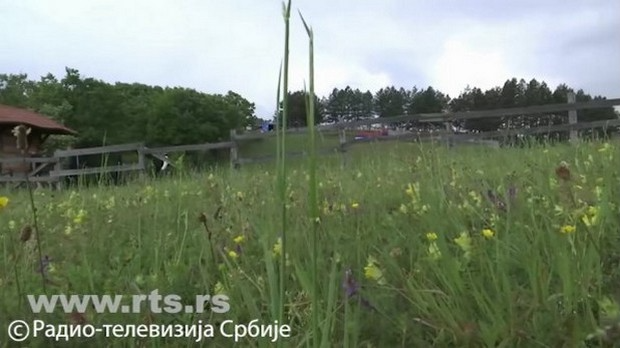 Говори да бих те видео: Земуница 