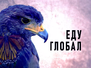 Еду глобал, 290. еп.