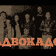 Адвокадо, 7-20