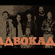 Адвокадо, 9-20