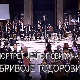 Портрет једног свирача