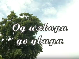 Од извора до увира