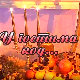 У гостима код Боре Дугића